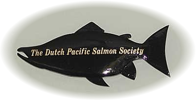 Logo van de DPSS
